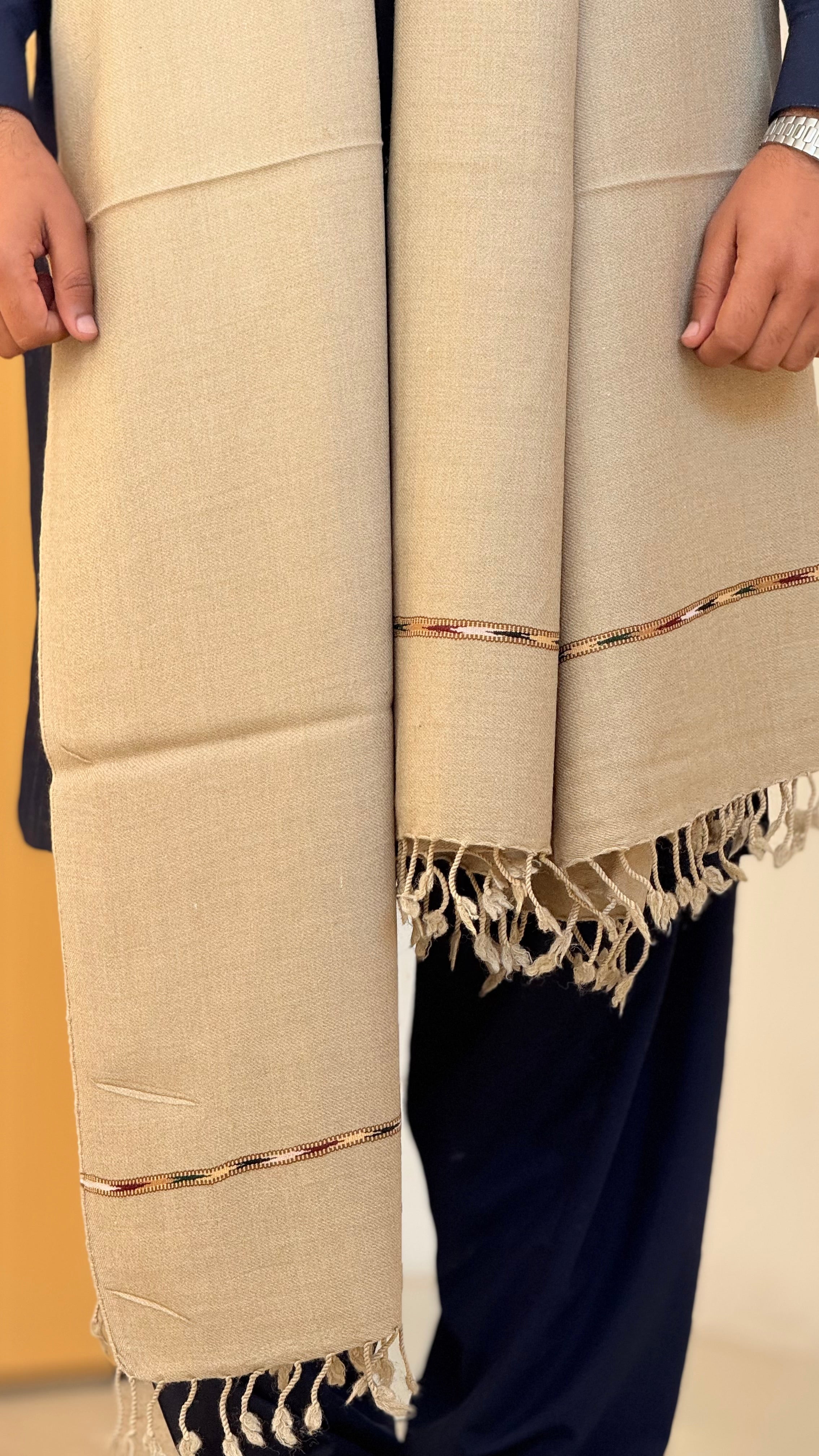 Kashmir Zenith 2 — Kashmiri Wool Shawl by AFSAAR