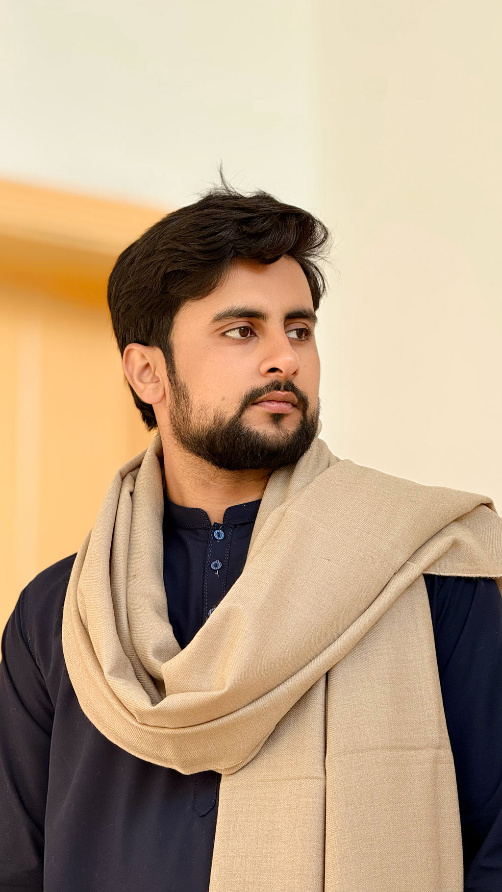 Kashmir Zenith 2 — Kashmiri Wool Shawl by AFSAAR