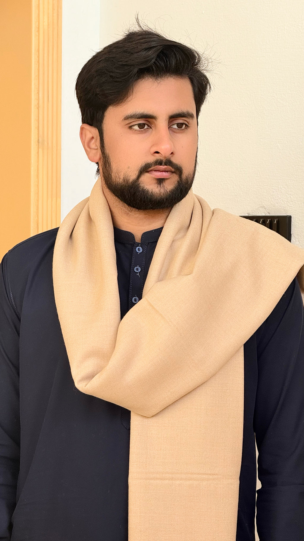 Kashmir Zenith 1— Kashmiri Wool Shawl by AFSAAR